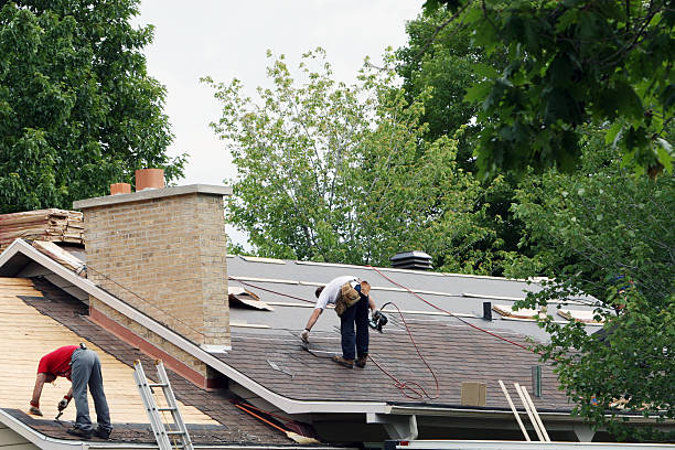 Best Gutter Installation and Roofing  in Daisetta, TX